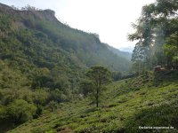 srilanka-experience.de