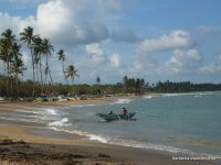srilanka-experience.de