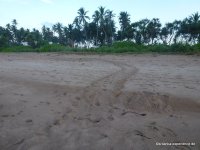 srilanka-experience.de