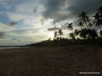 srilanka-experience.de