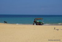 srilanka-experience.de