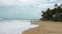srilanka-experience.de