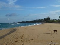 srilanka-experience.de