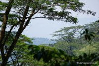 srilanka-experience.de