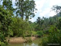srilanka-experience.de