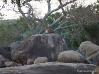 srilanka-experience.de